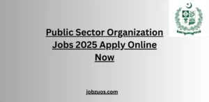 Public Sector Organization Jobs 2025 Apply Online Now